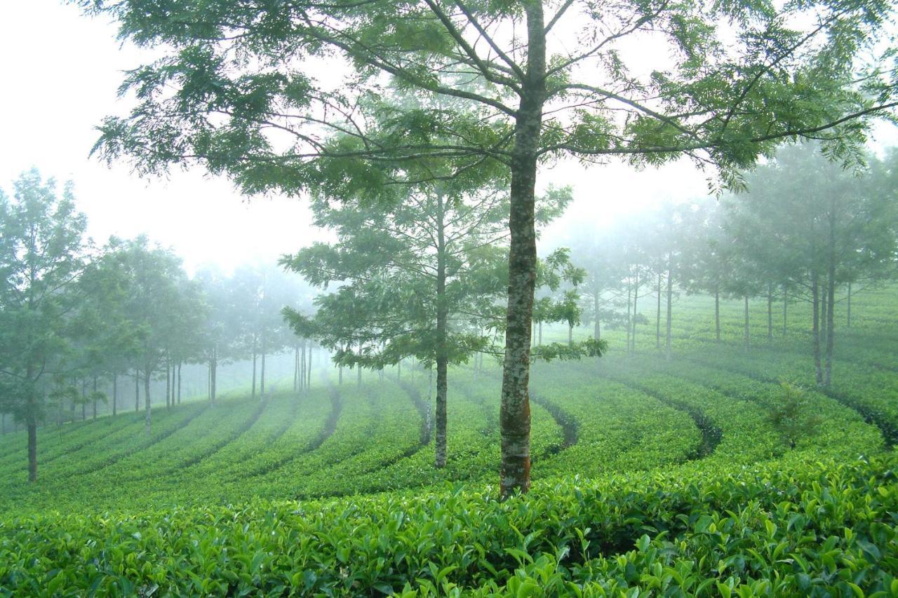 Mistica Munnar Apartment Anachal Exterior photo