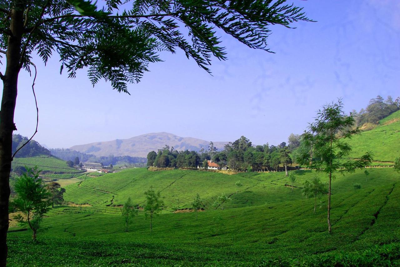 Mistica Munnar Apartment Anachal Exterior photo