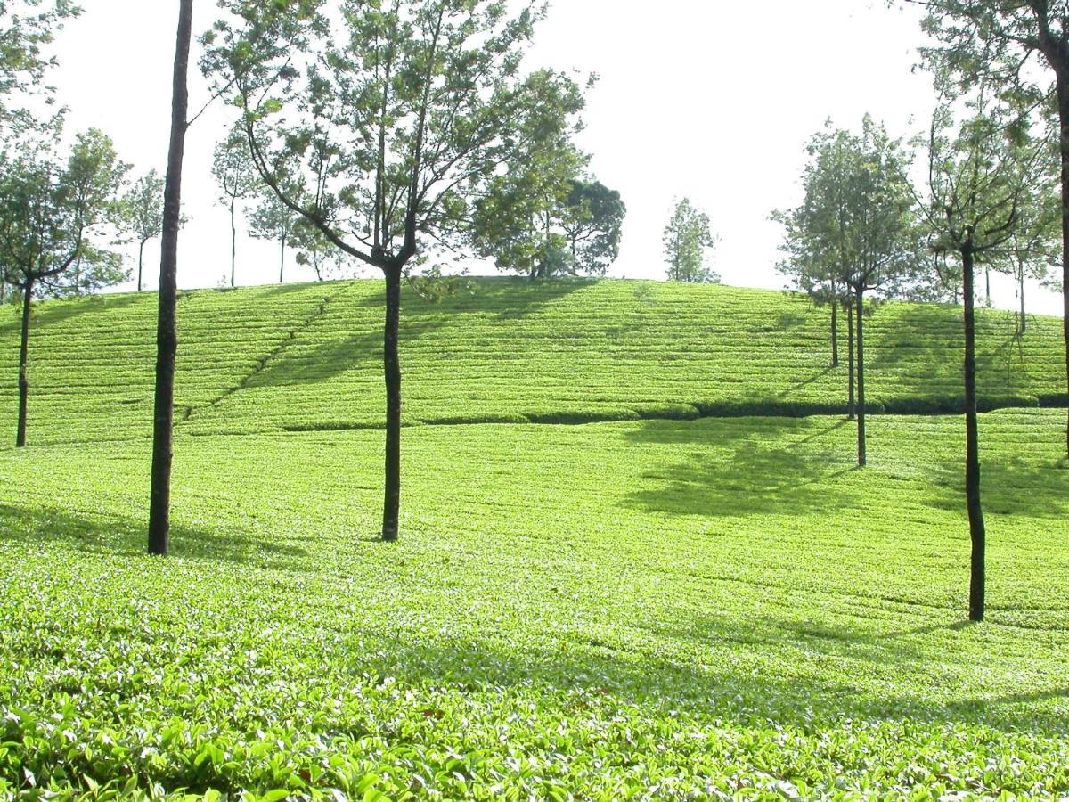 Mistica Munnar Apartment Anachal Exterior photo