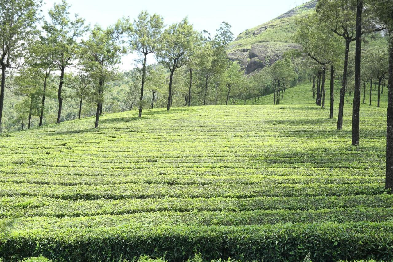 Mistica Munnar Apartment Anachal Exterior photo